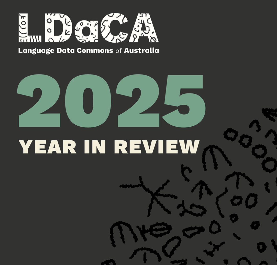 2025 Year in Review