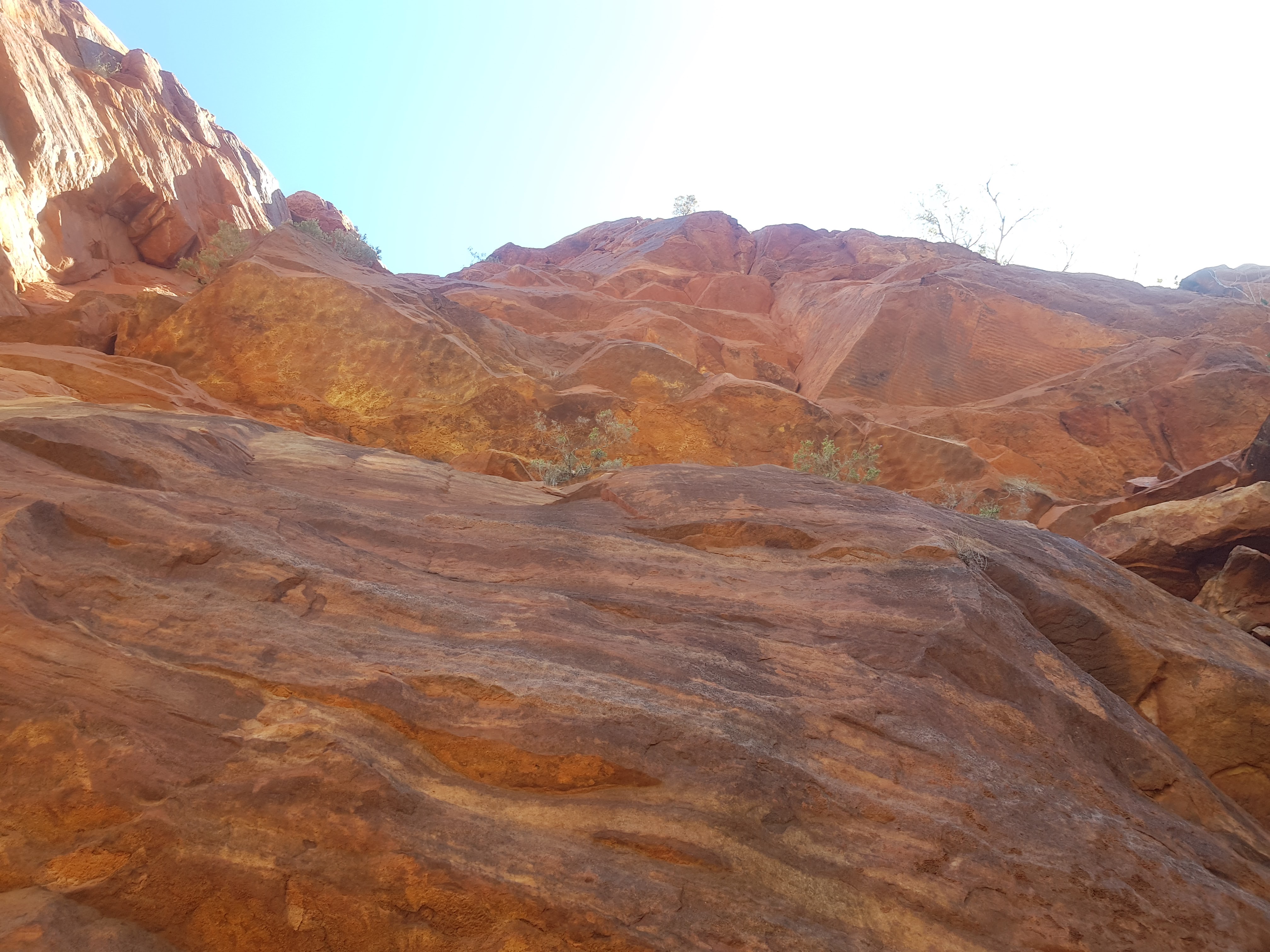 Cliffs at Boodjamulla National Park