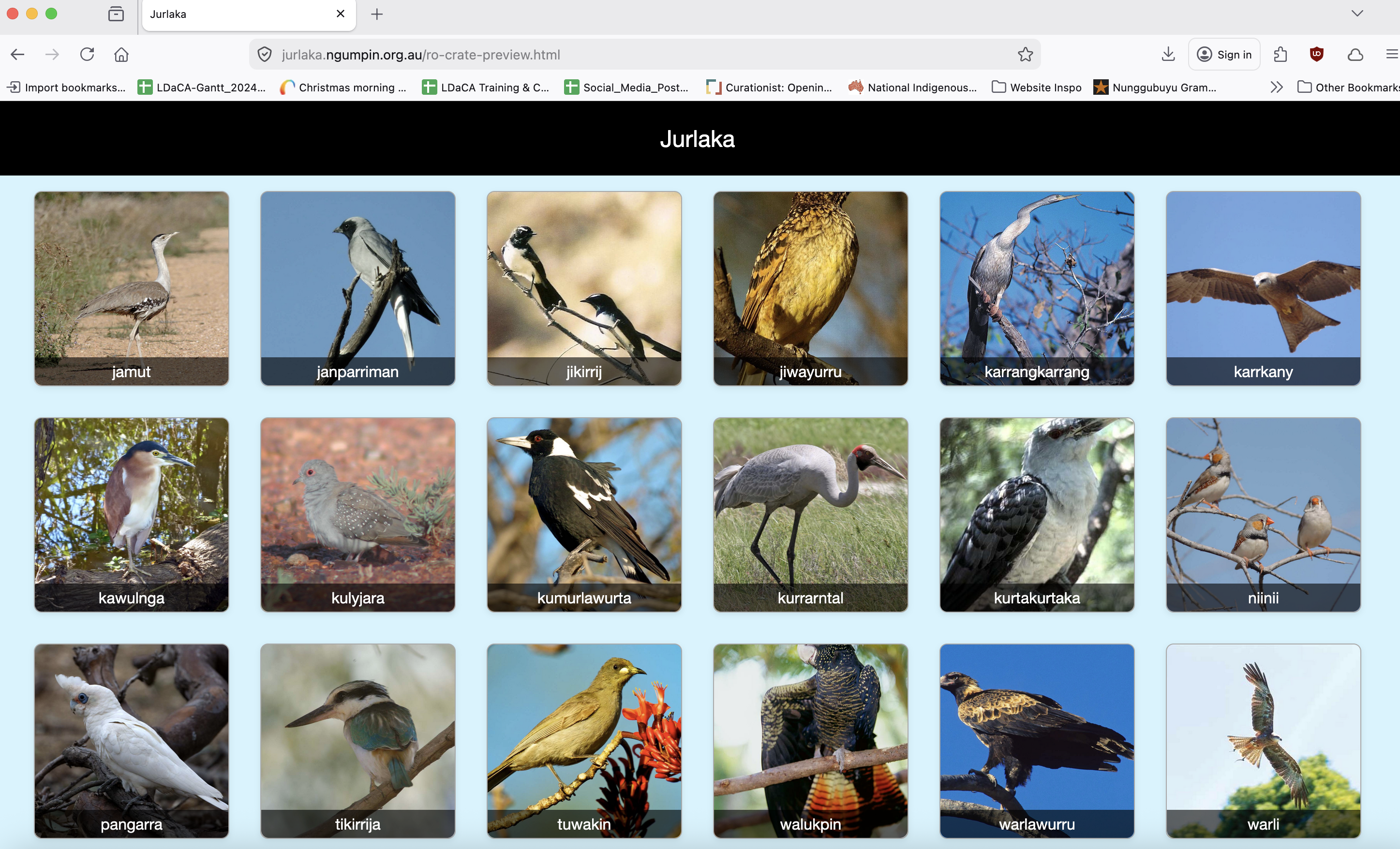 Screenshot of Jurlaka Website